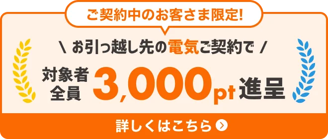 ご契約中のお客さま限定！引っ越し応援特典3,000pt贈呈  詳しくはこちら
