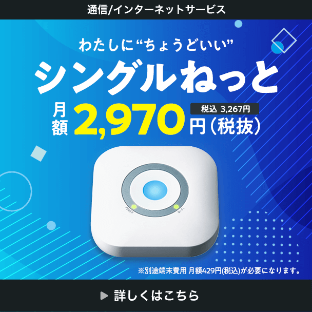 シングルねっとわたしにちょうどいい 月額税抜き2,970円