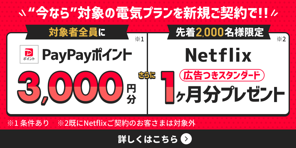 今なら対象の電気プランを新規ご契約で!! 対象者全員にPayPayポイント3,000円分、さらに先着2,000名様限定でNetflix(広告つきスタンダード)1ヶ月分プレゼント