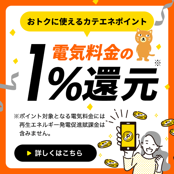 おトクに使えるカテエネポイント 電気料金の1％還元