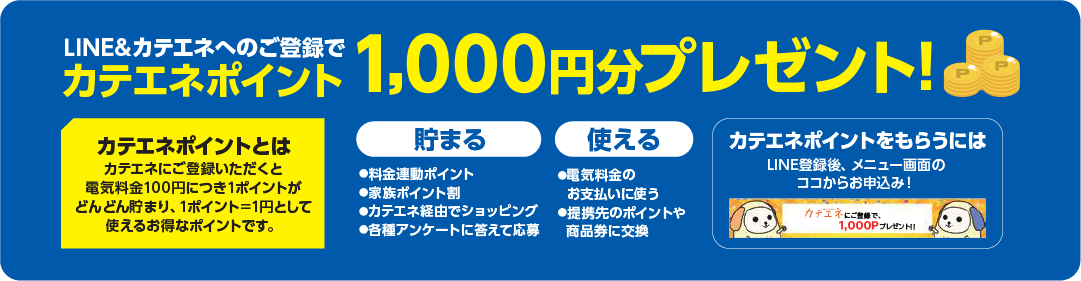 LINE&カテエネへのご登録でカテエネポイント1,000円分プレゼント！