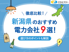 新潟電力会社 アイキャッチ