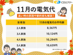 11月電気代の推移 アイキャッチ