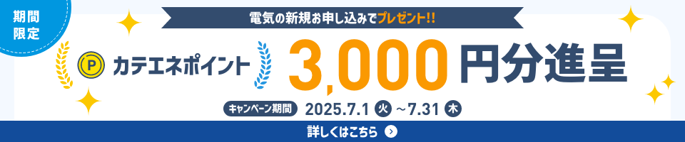 カテエネポイントキャンペーンバナー
