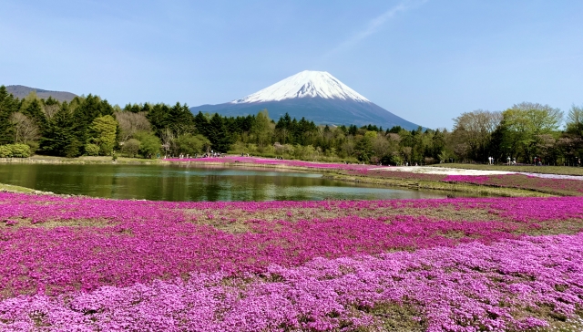 富士山