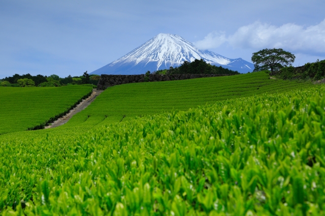 静岡　富士山