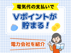 電気代　Tポイント（Vポイント）　サムネイル
