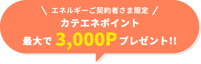 エネルギーご契約者さま限定 カテエネポイント最大で3,000Pプレゼント!!