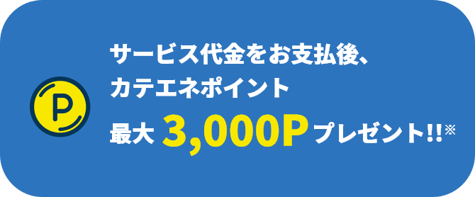 サービス代金をお支払後、カテエネポイント 最大3,000Pプレゼント!!